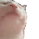 catJAM
